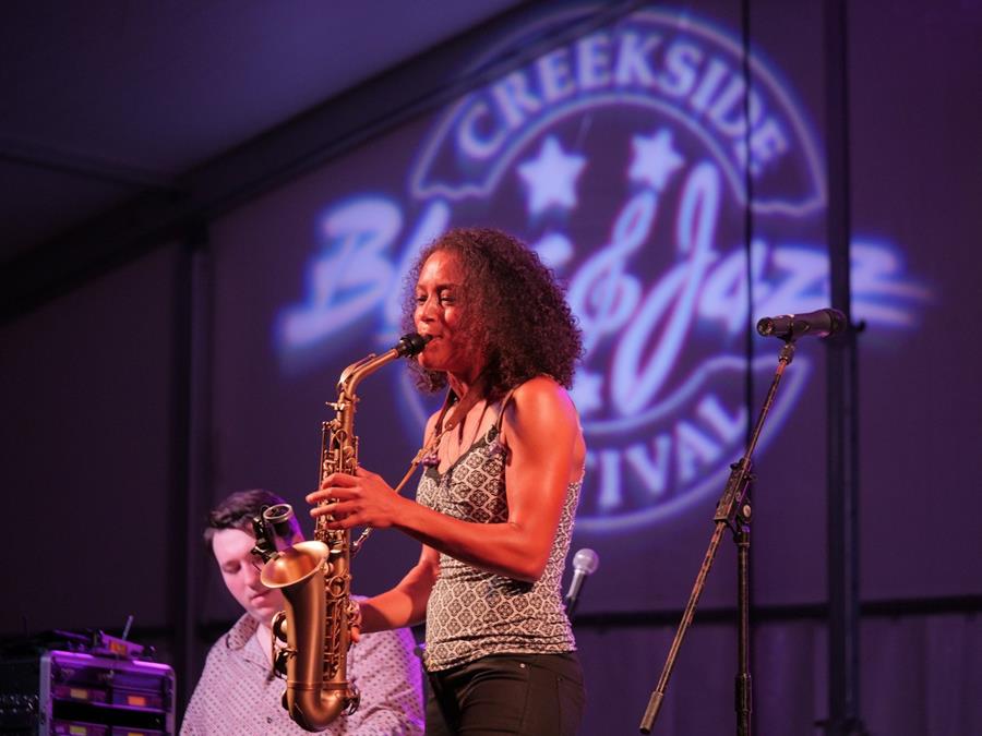 Creekside Blues Jazz Festival Gahanna Ohio Gallery