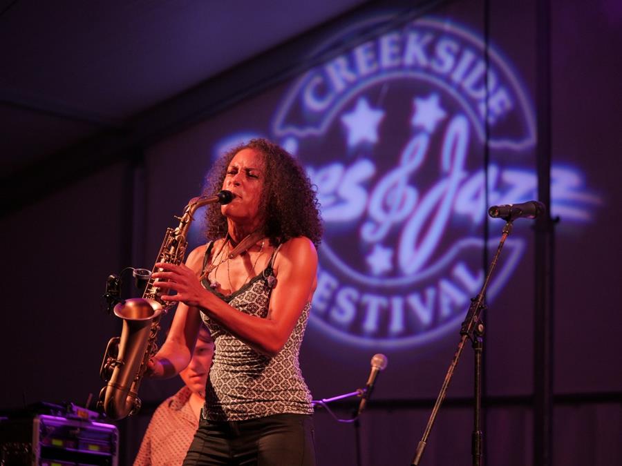 Creekside Blues Jazz Festival Gahanna Ohio Gallery